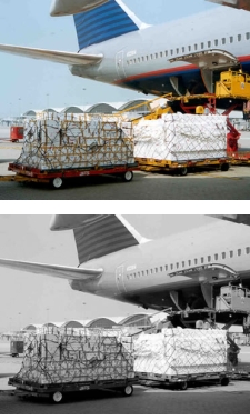 Multi Country Consolidation